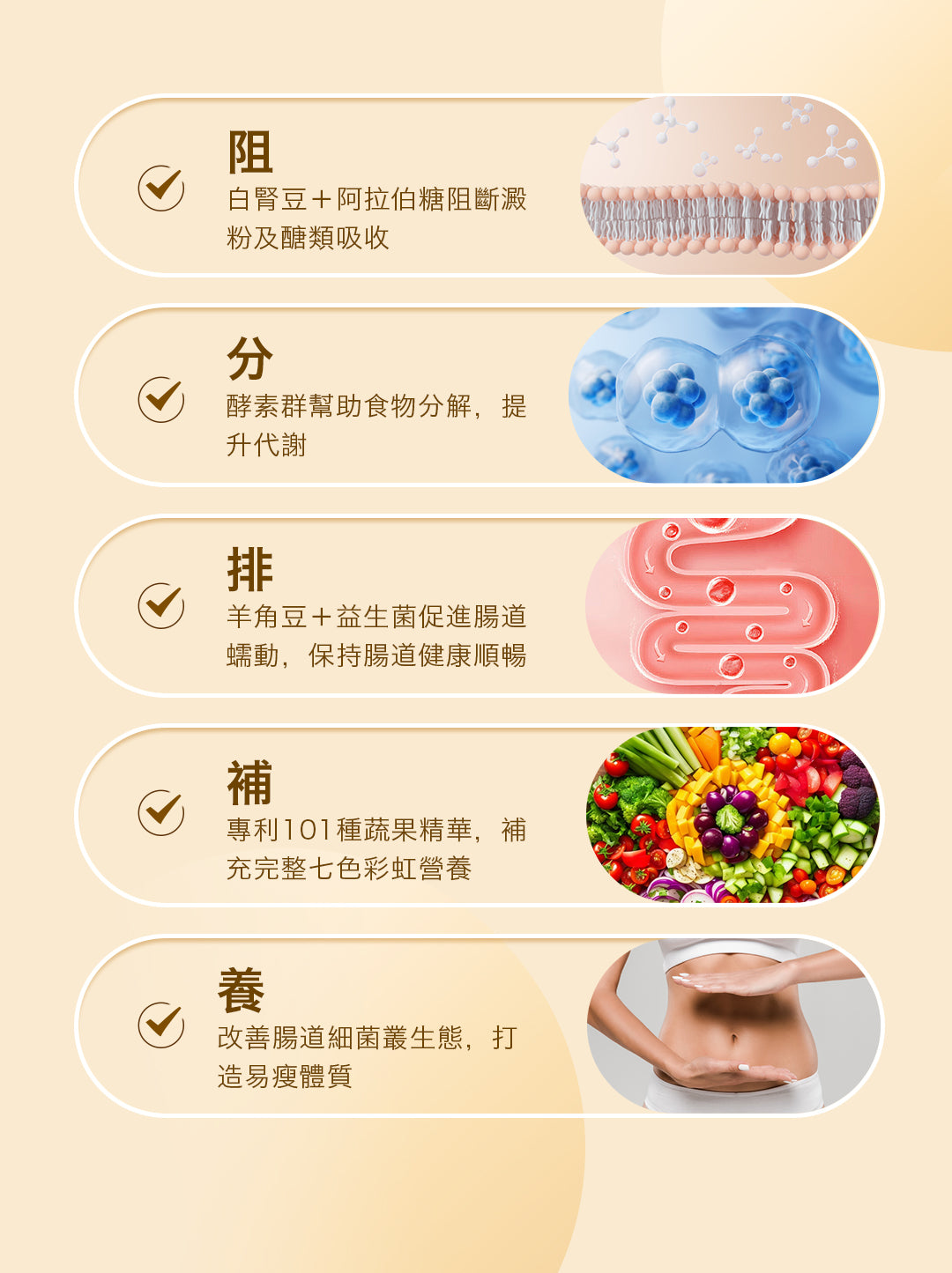 (testing only)【14天極速瘦身套裝⚡️】低卡奶昔+餐前御用