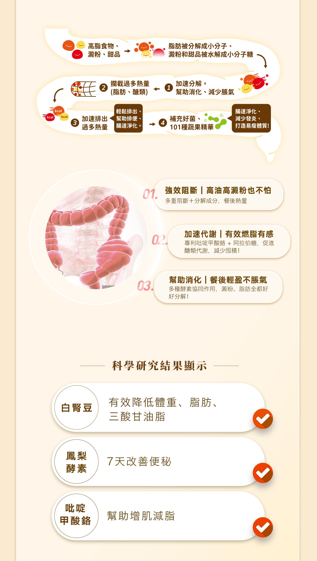 (testing only)【14天極速瘦身套裝⚡️】低卡奶昔+餐前御用